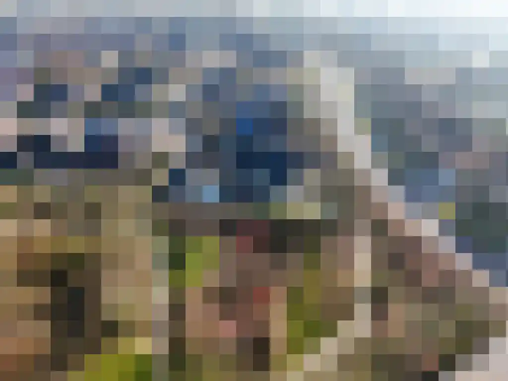 De Wilgen 17 Bedum thumbnail 55
