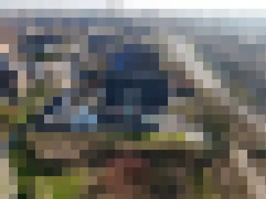 De Wilgen 17 Bedum thumbnail 56