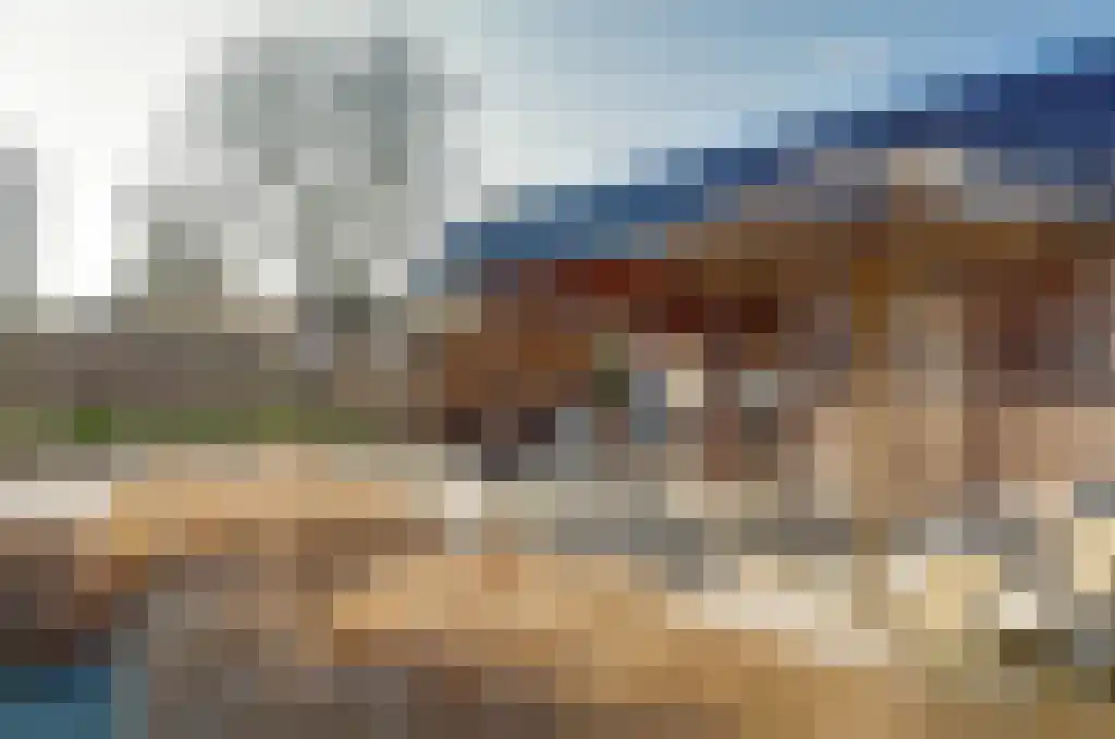 De Wilgen 17 Bedum thumbnail 6