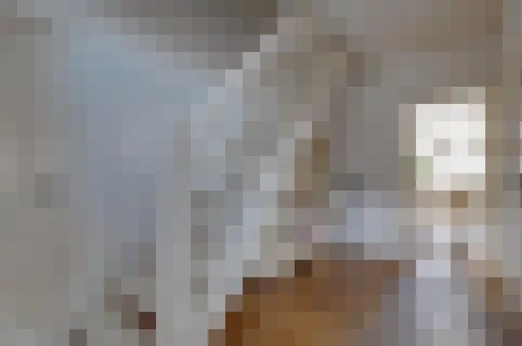 De Wilgen 17 Bedum thumbnail 8