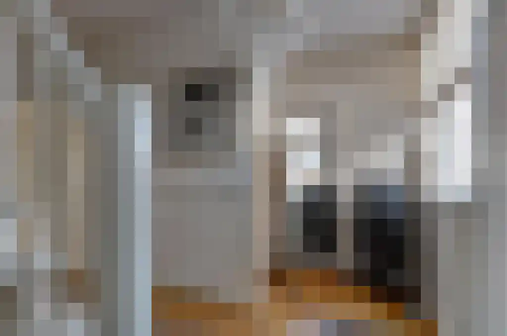 De Wilgen 17 Bedum thumbnail 9