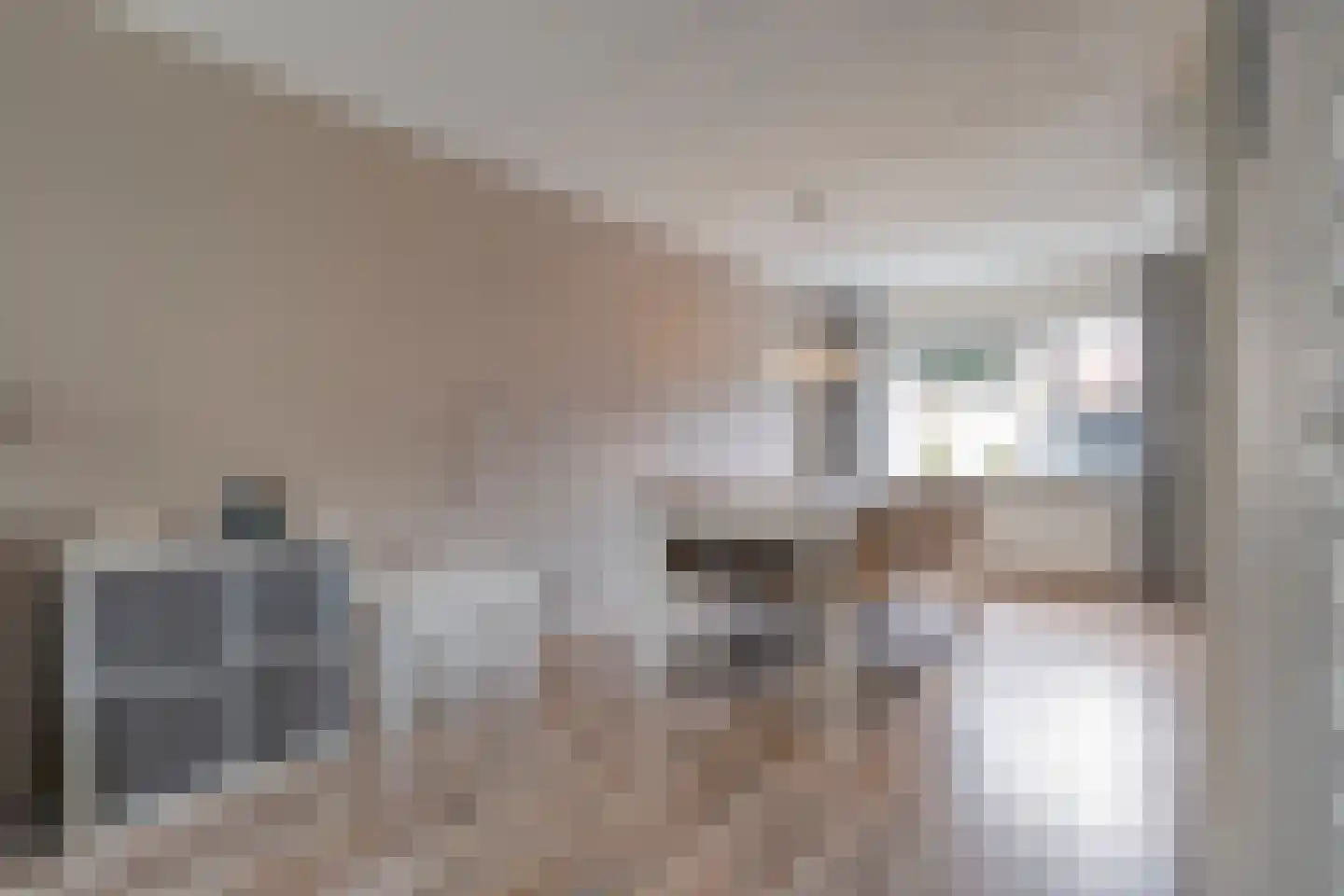 De Wilgen 21 Koekange thumbnail 12