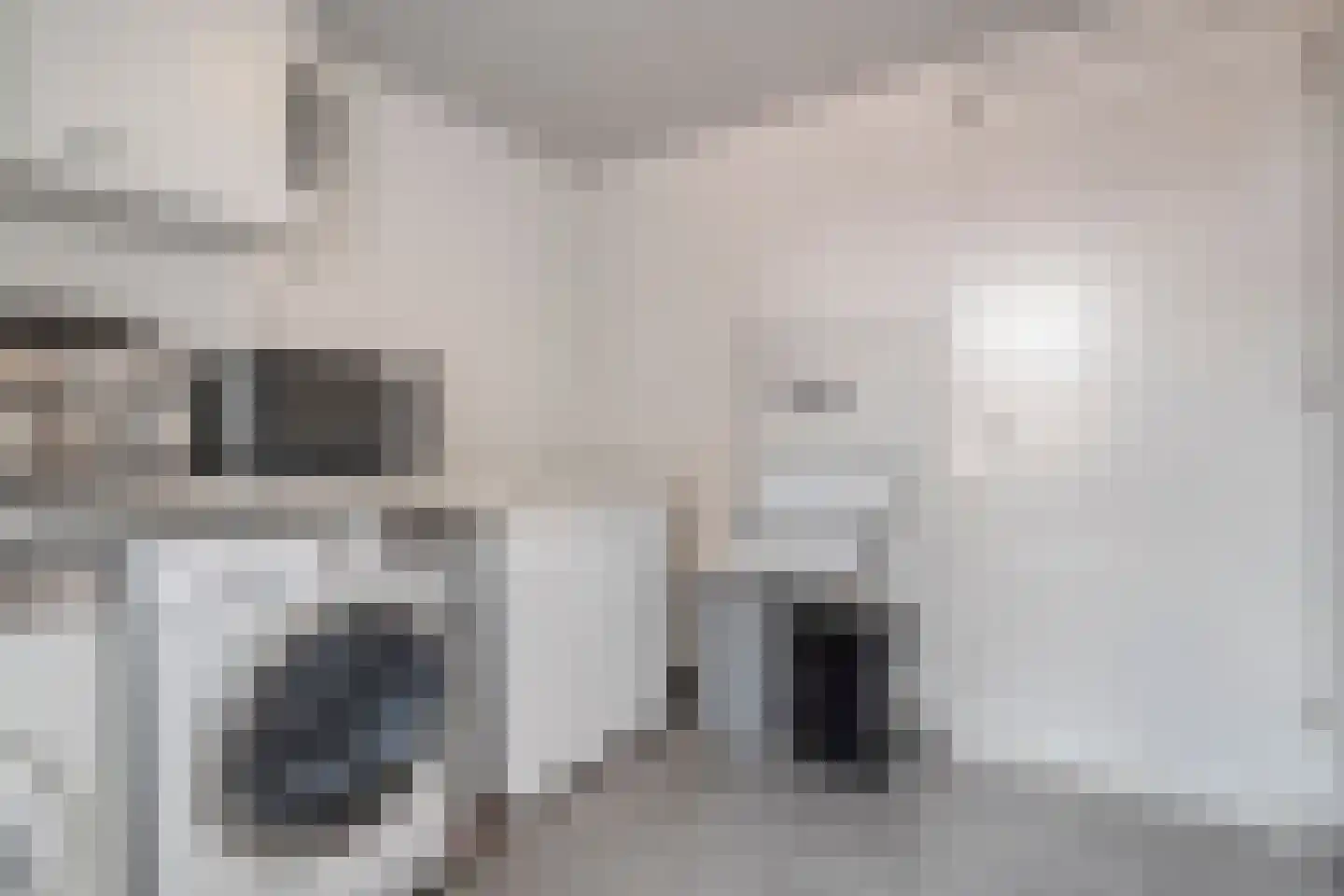 De Wilgen 21 Koekange thumbnail 18