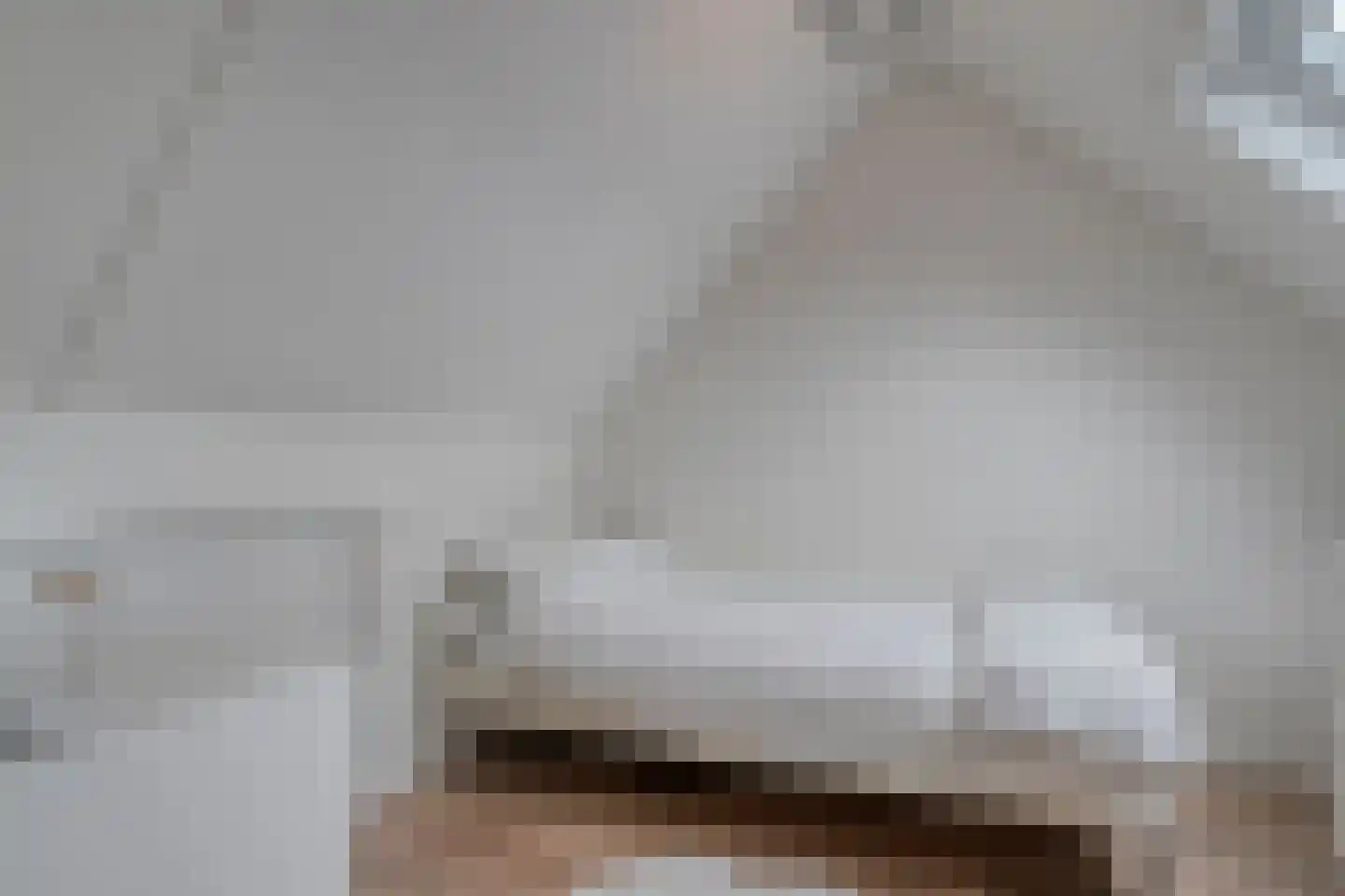 De Wilgen 21 Koekange thumbnail 32