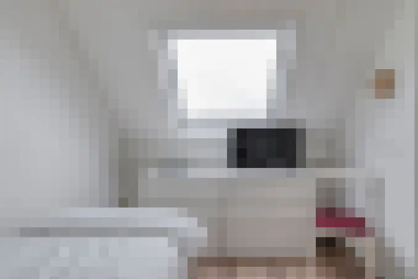 De Wilgen 21 Koekange thumbnail 33