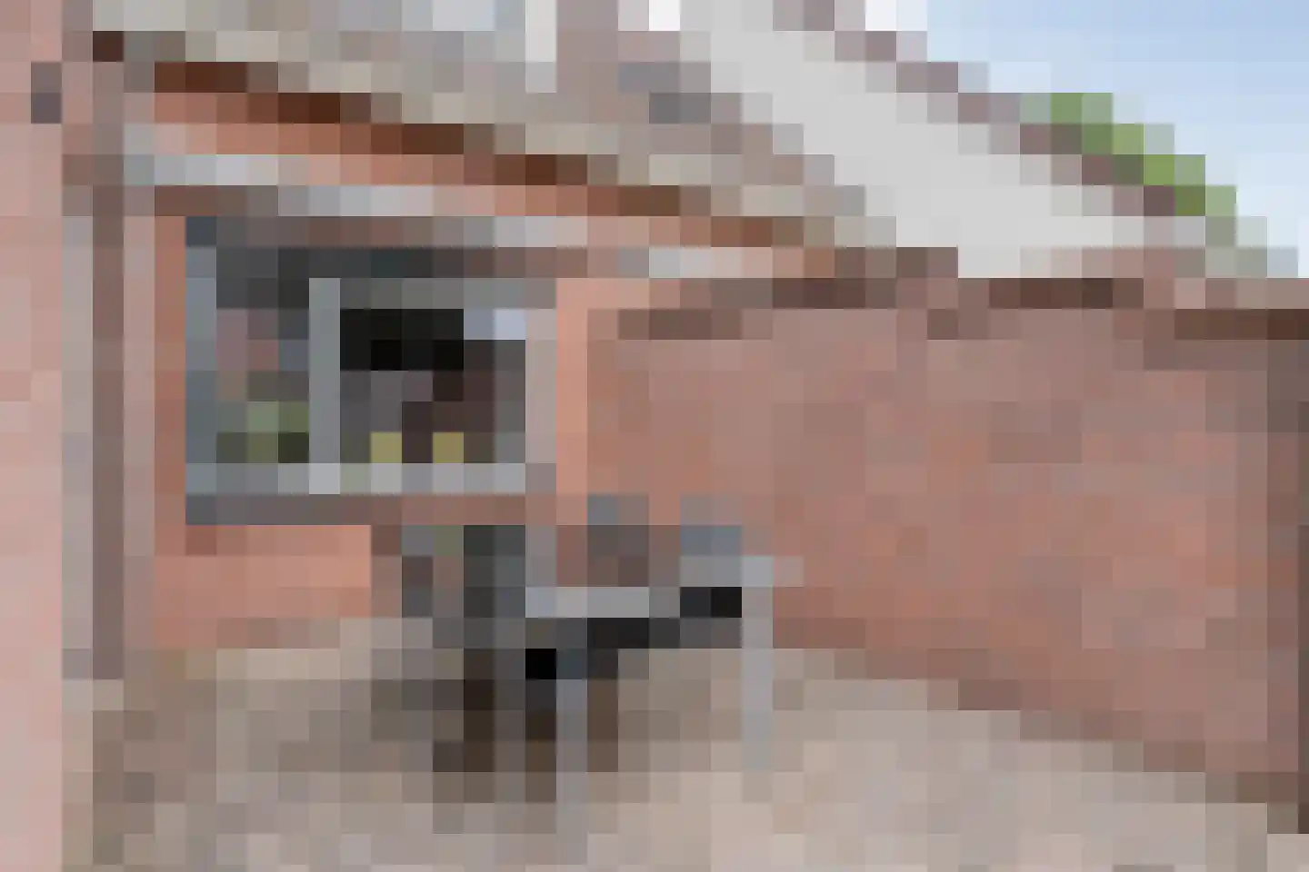 De Wilgen 21 Koekange thumbnail 34