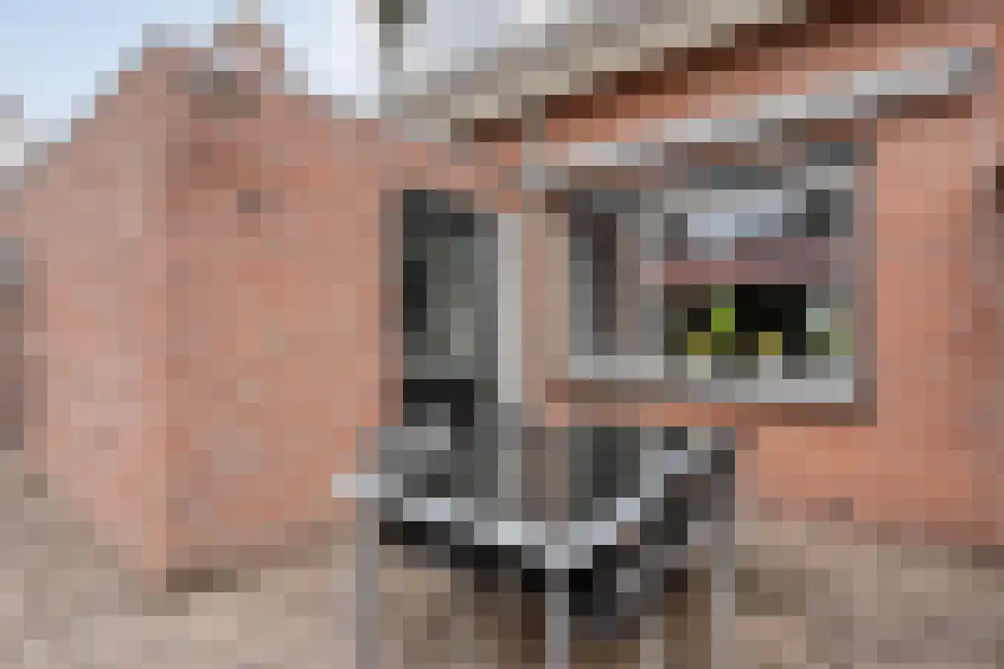 De Wilgen 21 Koekange thumbnail 35