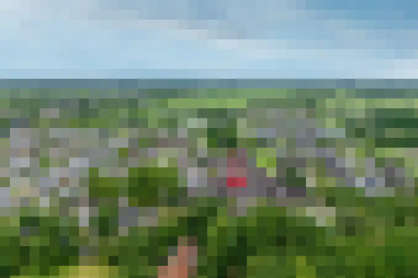 De Wilgen 21 Koekange thumbnail 4