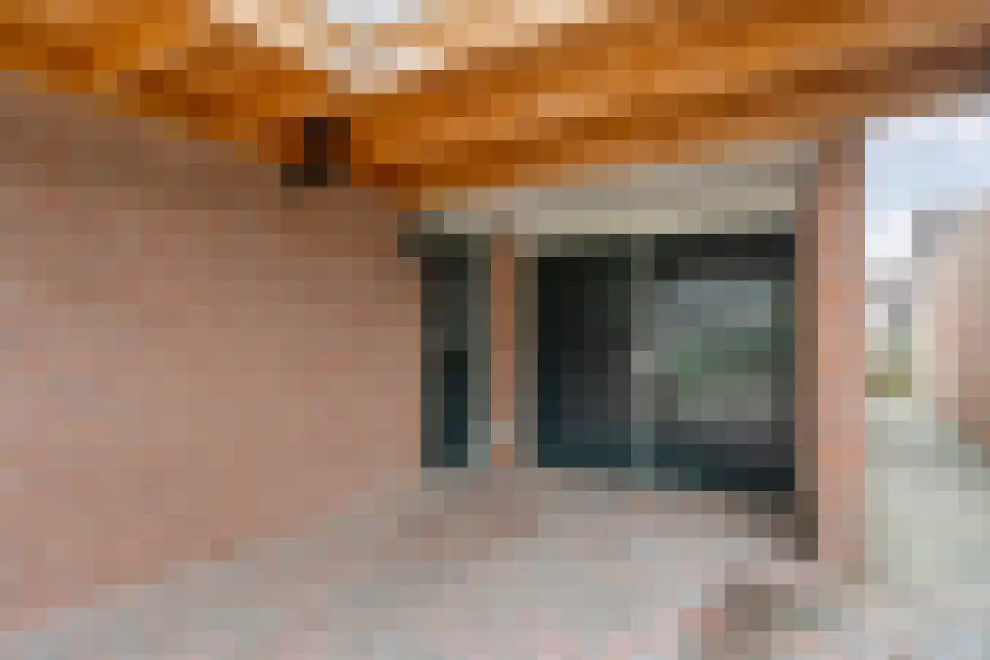 De Wilgen 21 Koekange thumbnail 43