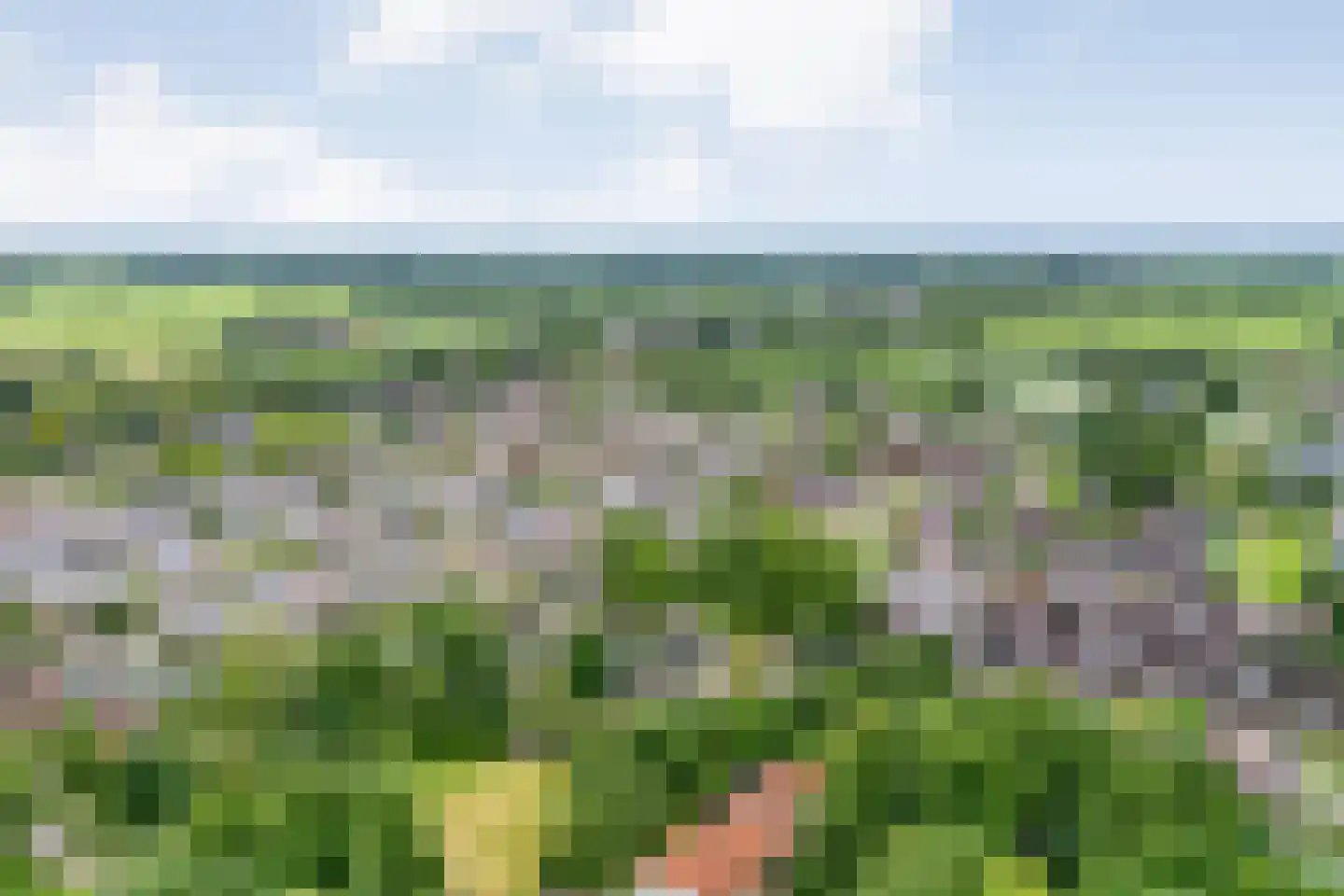 De Wilgen 21 Koekange thumbnail 47