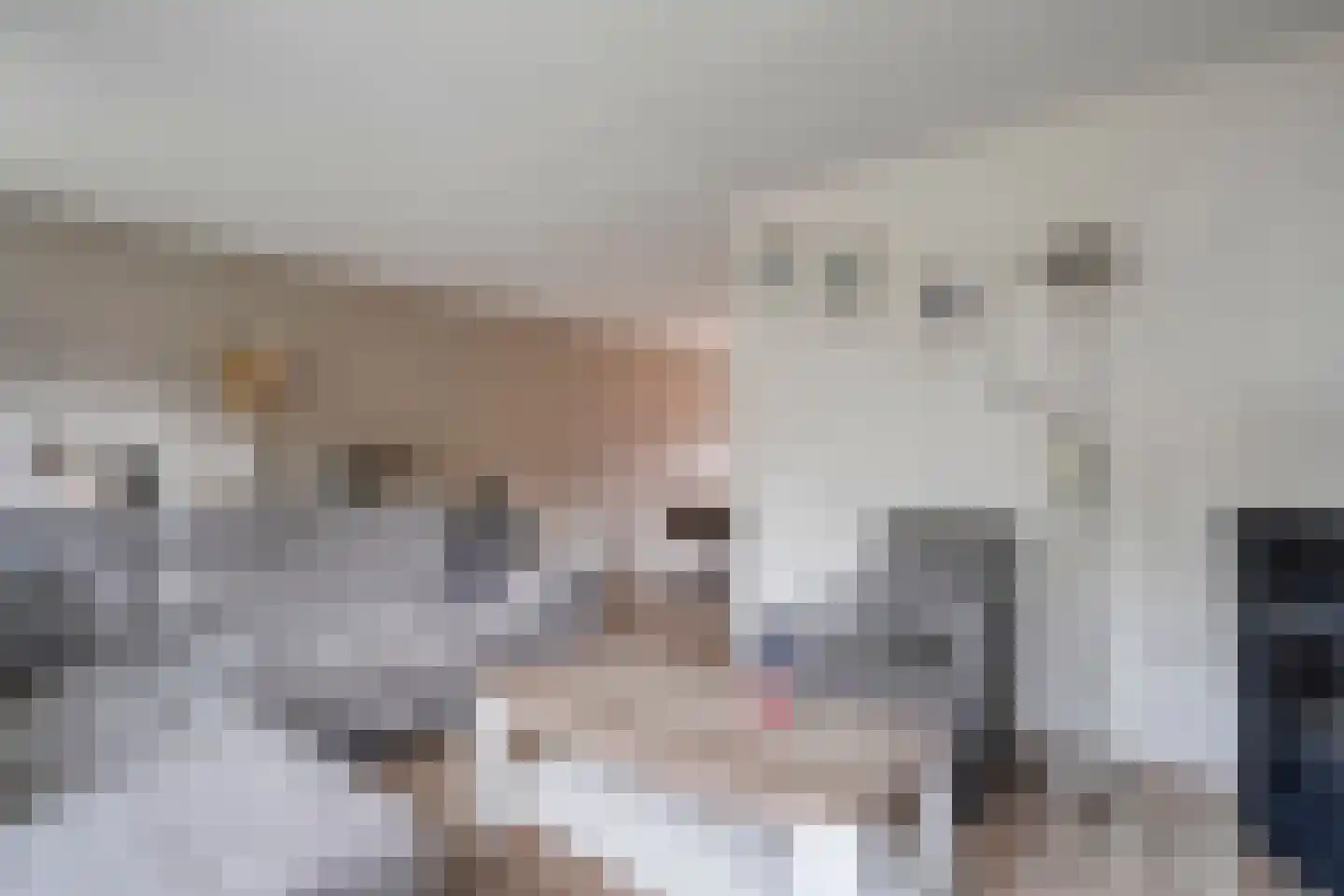 De Wilgen 21 Koekange thumbnail 8