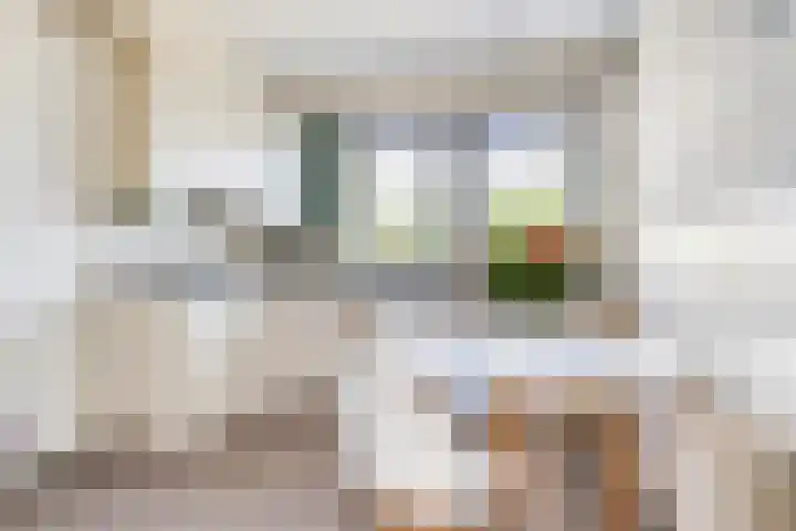 De Wilgen 3 Boekel thumbnail 19