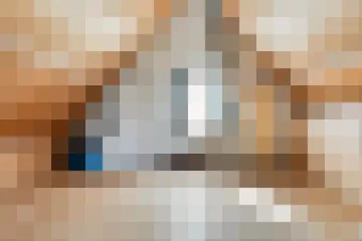 De Wilgen 3 Boekel thumbnail 33