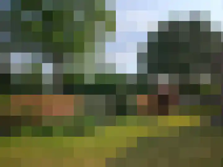 De Wilgen 3 Boekel thumbnail 41