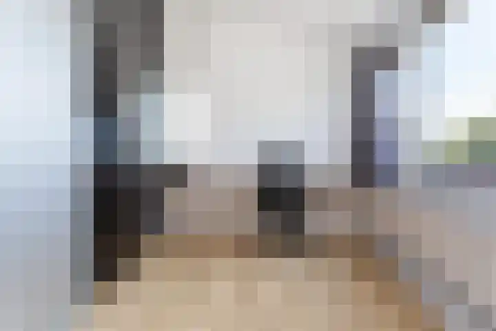 de Wilgen 34 Bergschenhoek thumbnail 19
