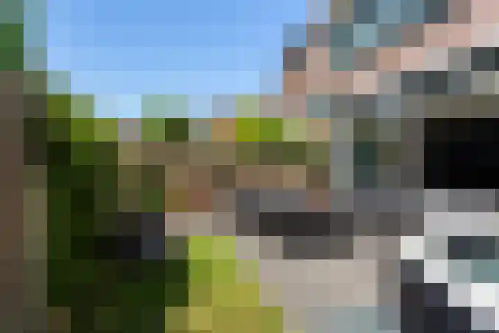 de Wilgen 34 Bergschenhoek thumbnail 23