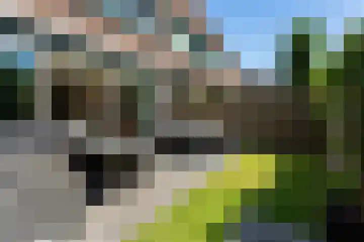 de Wilgen 34 Bergschenhoek thumbnail 24