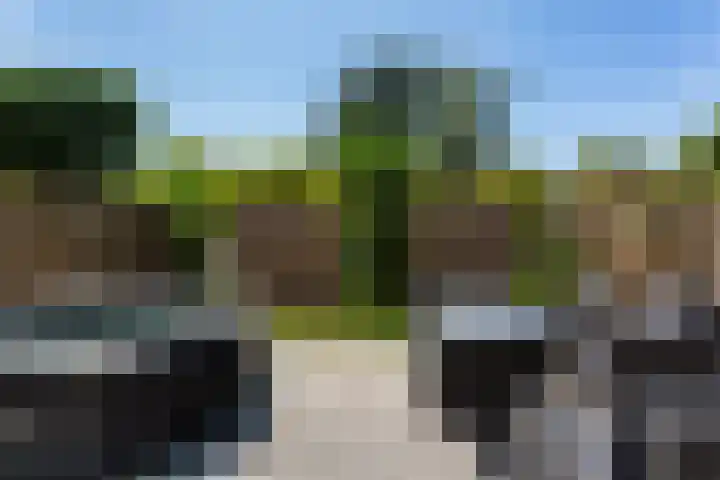 de Wilgen 34 Bergschenhoek thumbnail 25