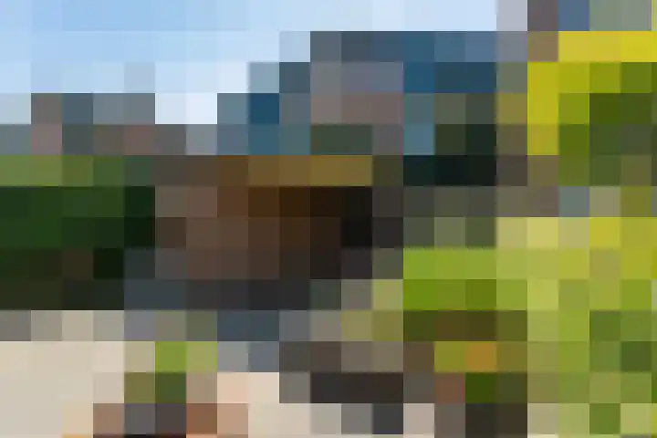 de Wilgen 34 Bergschenhoek thumbnail 31