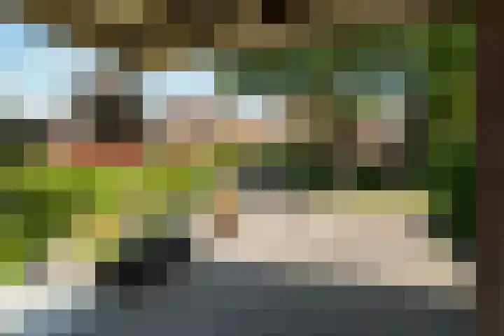 de Wilgen 34 Bergschenhoek thumbnail 4