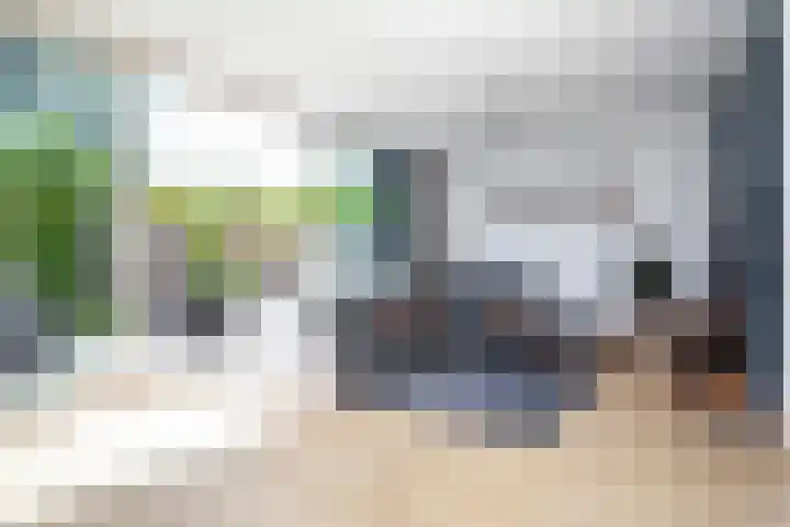 de Wilgen 34 Bergschenhoek thumbnail 8