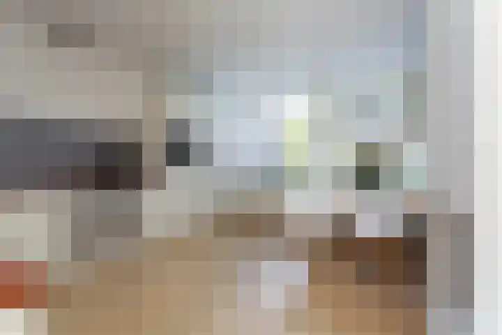 de Wilgen 34 Bergschenhoek thumbnail 9