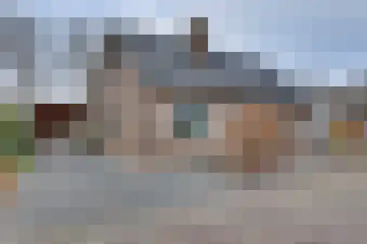 De wilgen 36 in Nijeveen