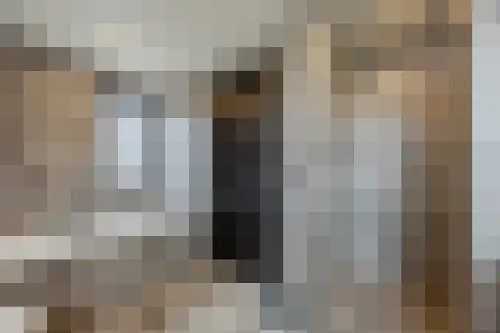 De Wilgen 38 Boekel thumbnail 35