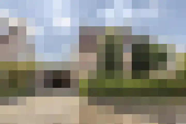 De Wilgen 38 Boekel thumbnail 4