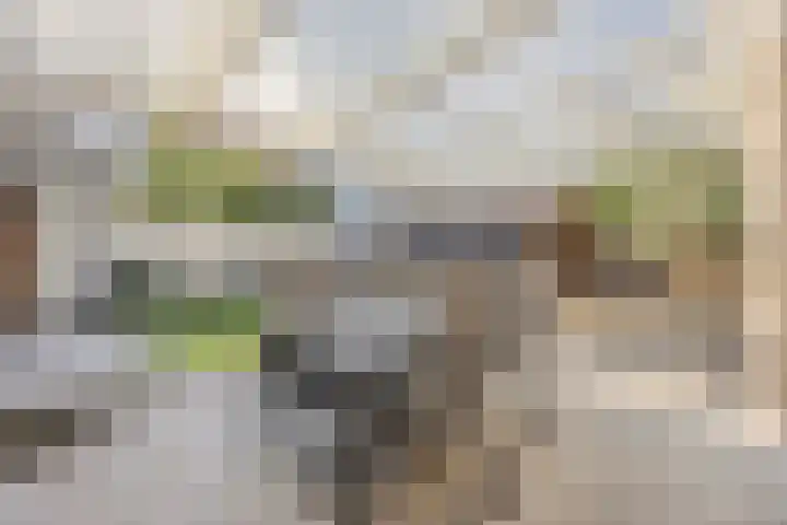 De Wilgen 38 Boekel thumbnail 40