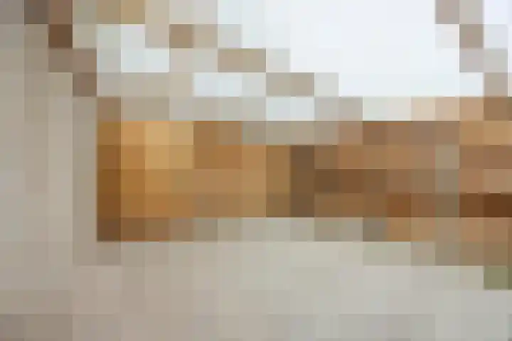 De Wilgen 38 Boekel thumbnail 47