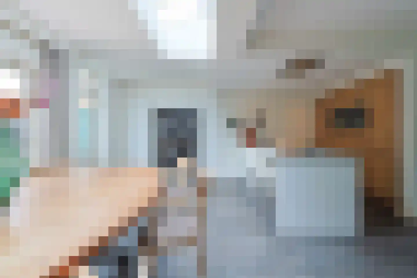 De Wilgen 4 Liempde thumbnail 15