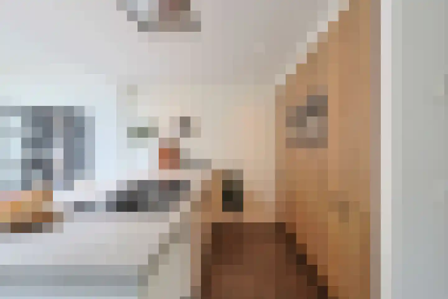 De Wilgen 4 Liempde thumbnail 16