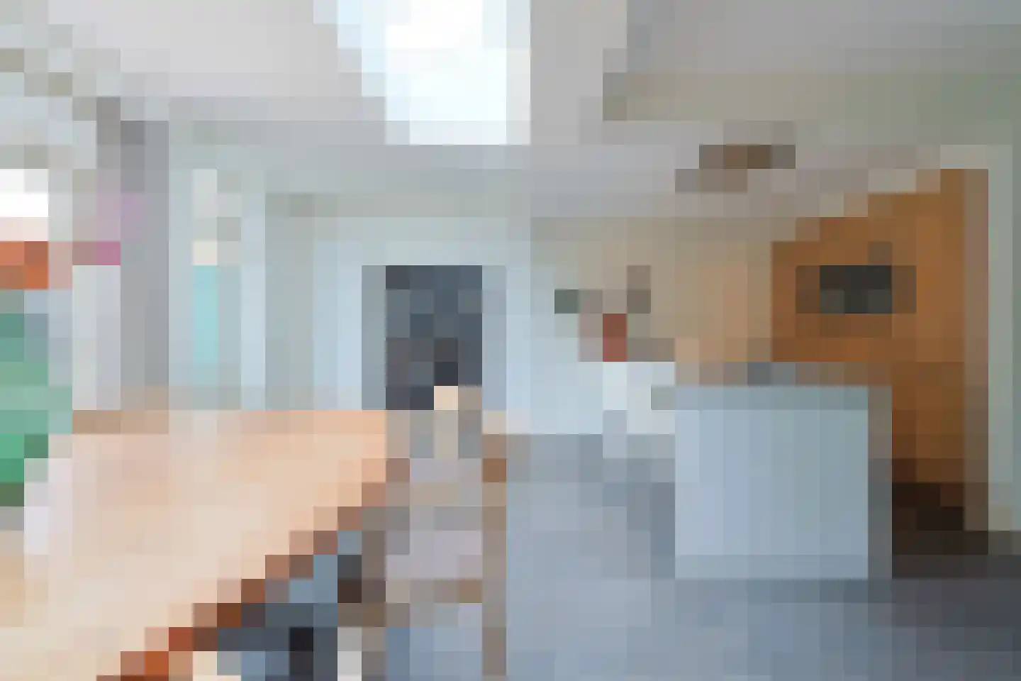 De Wilgen 4 Liempde thumbnail 16