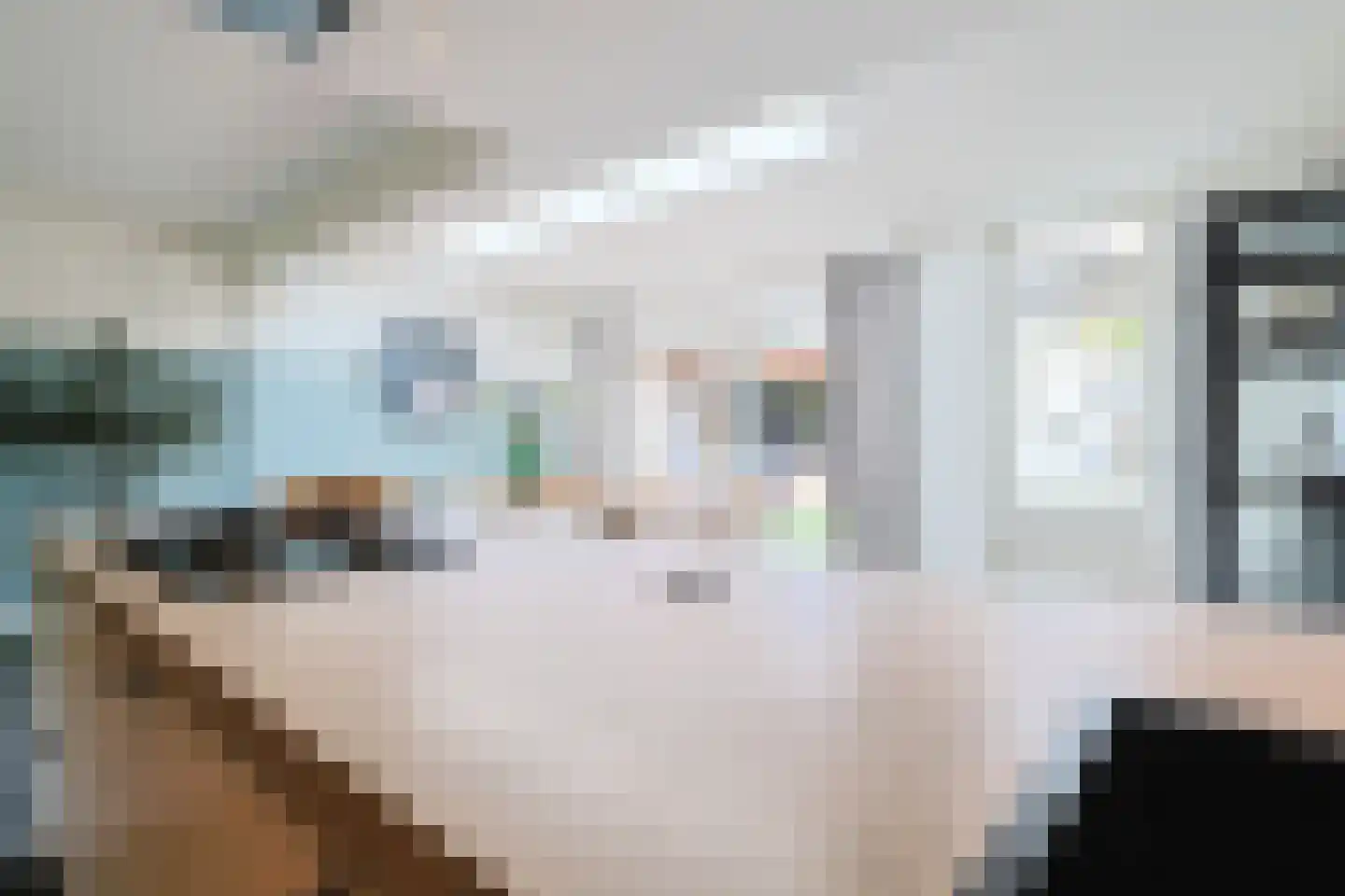 De Wilgen 4 Liempde thumbnail 17