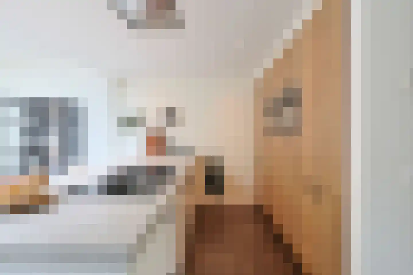 De Wilgen 4 Liempde thumbnail 17