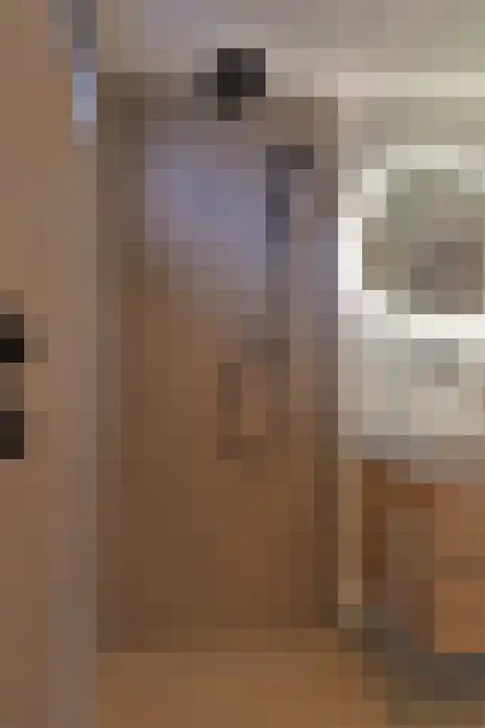 De Wilgen 4 Liempde thumbnail 33