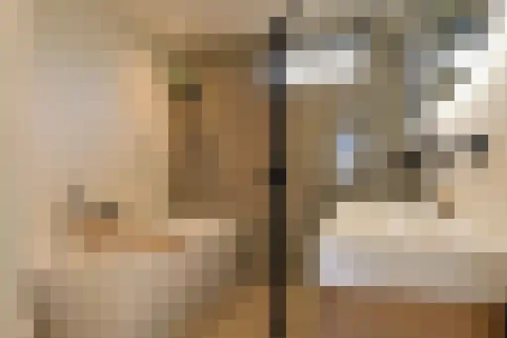 De Wilgen 4 Liempde thumbnail 4