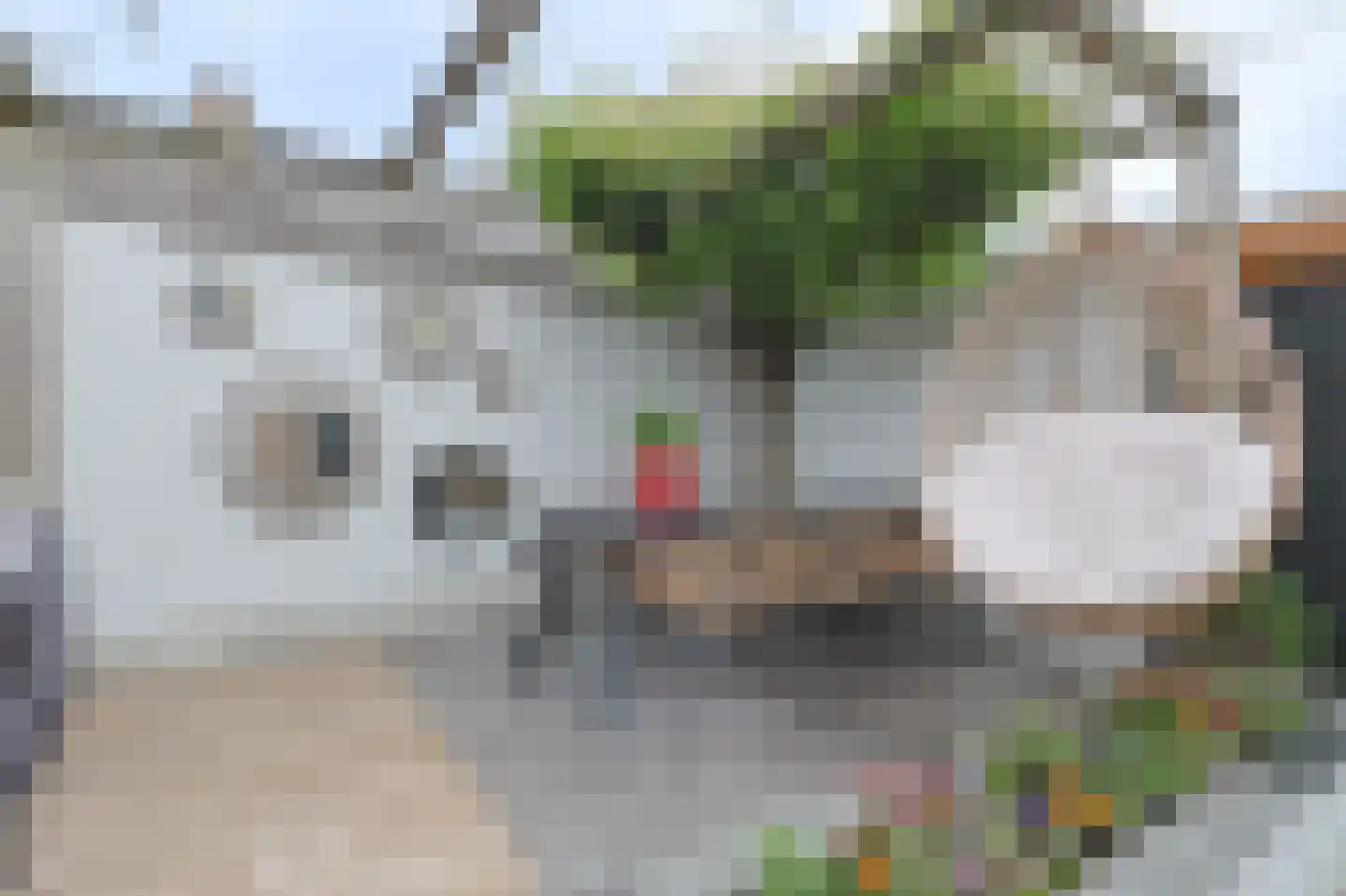 De Wilgen 4 Liempde thumbnail 43