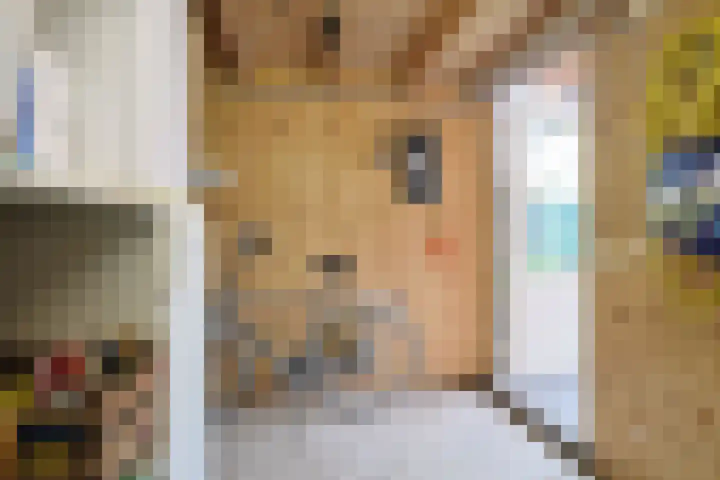 De Wilgen 4 Liempde thumbnail 47