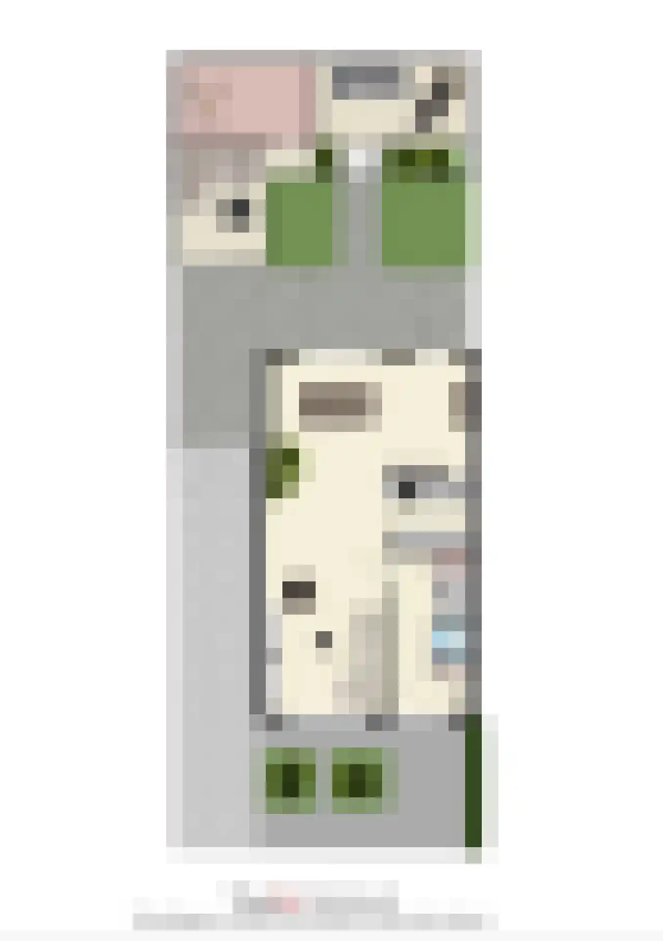 De Wilgen 4 Liempde thumbnail 56