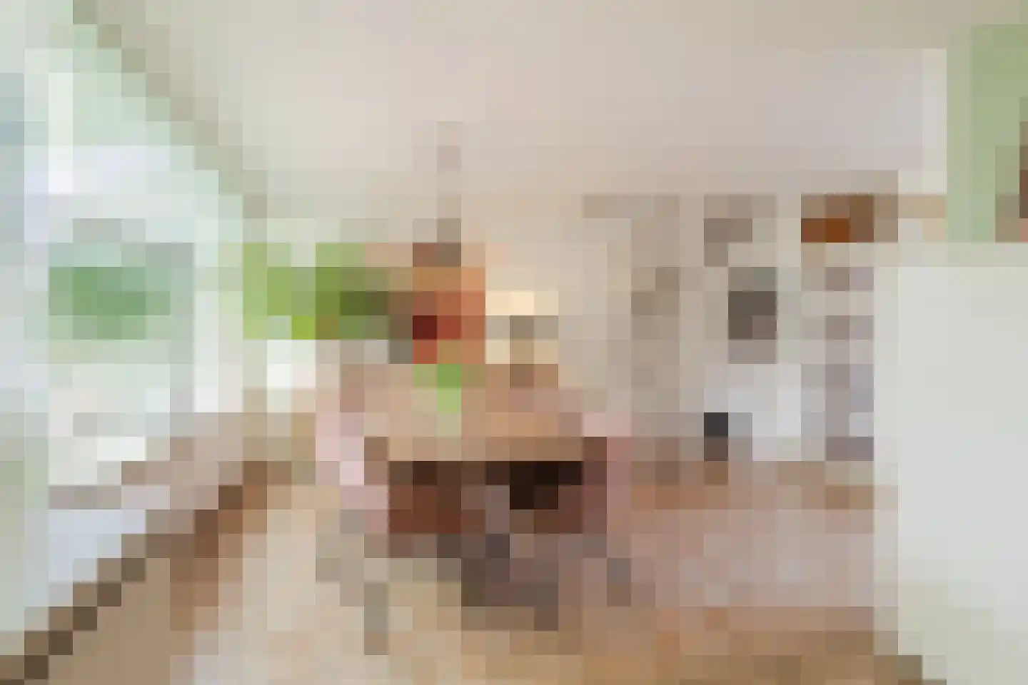 de Wilgen 40 Bergschenhoek thumbnail 10