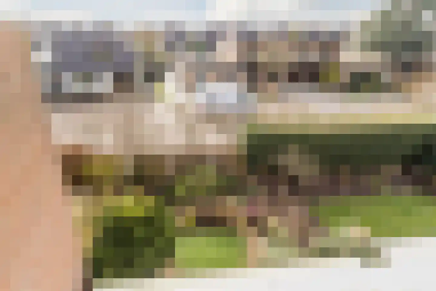 de Wilgen 40 Bergschenhoek thumbnail 37