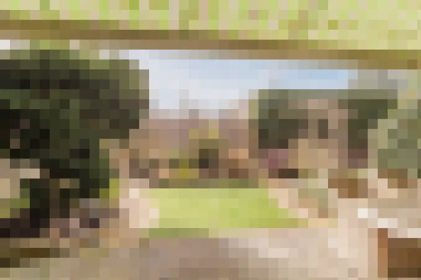 de Wilgen 40 Bergschenhoek thumbnail 38