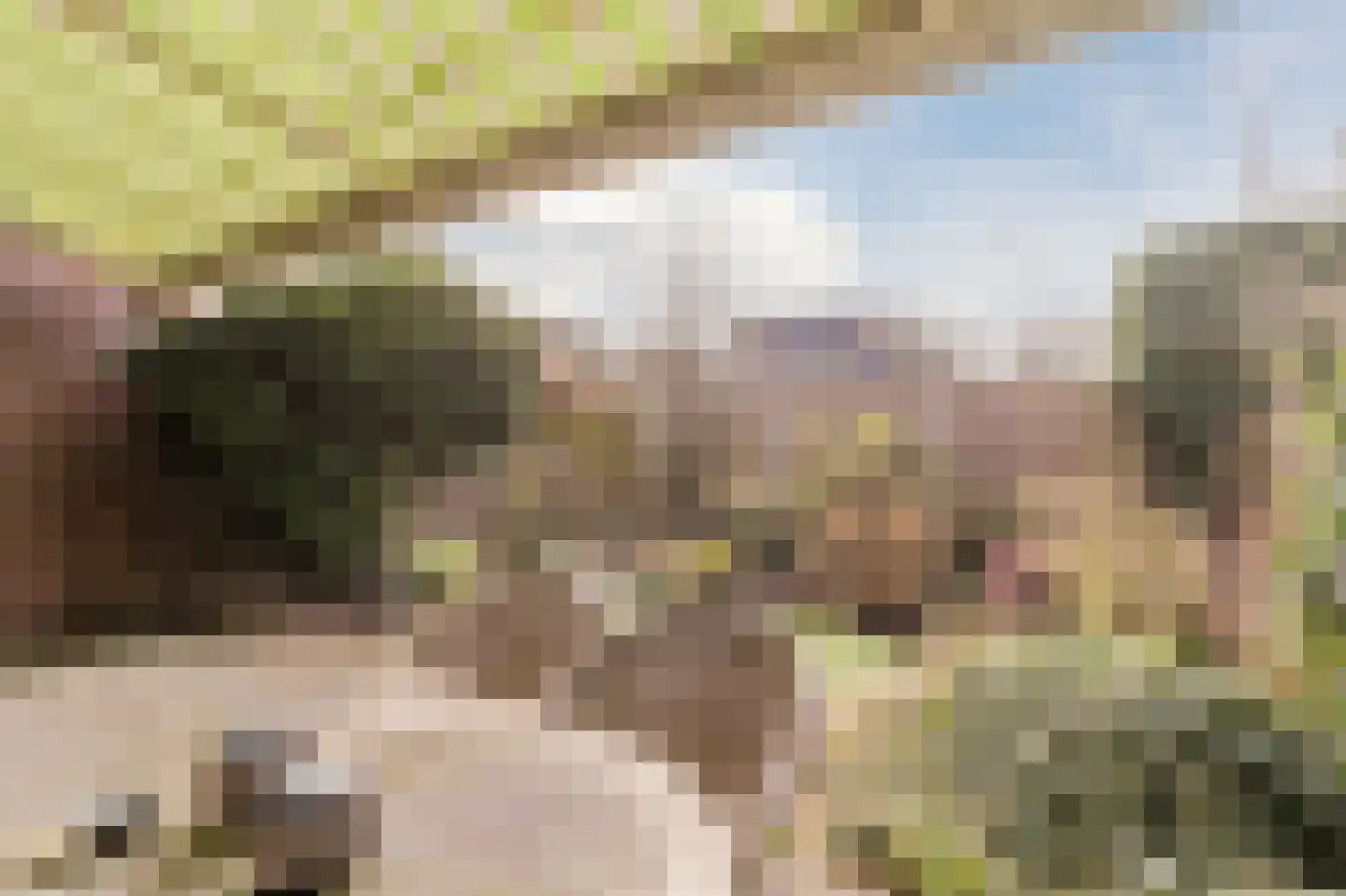 de Wilgen 40 Bergschenhoek thumbnail 40