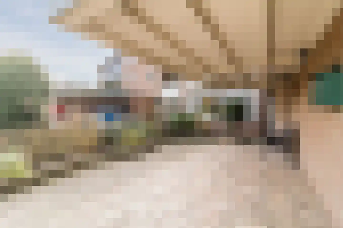 de Wilgen 40 Bergschenhoek thumbnail 42
