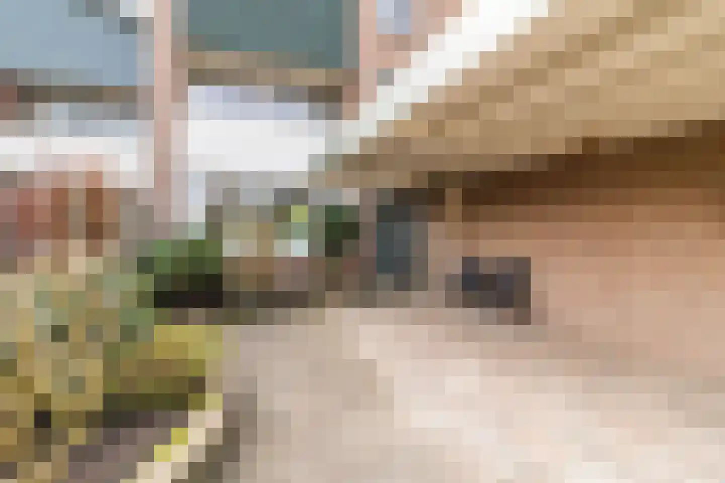 de Wilgen 40 Bergschenhoek thumbnail 43