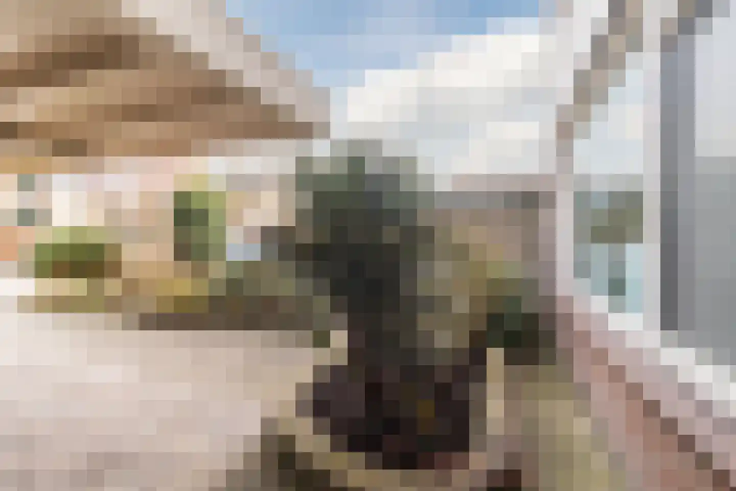 de Wilgen 40 Bergschenhoek thumbnail 44