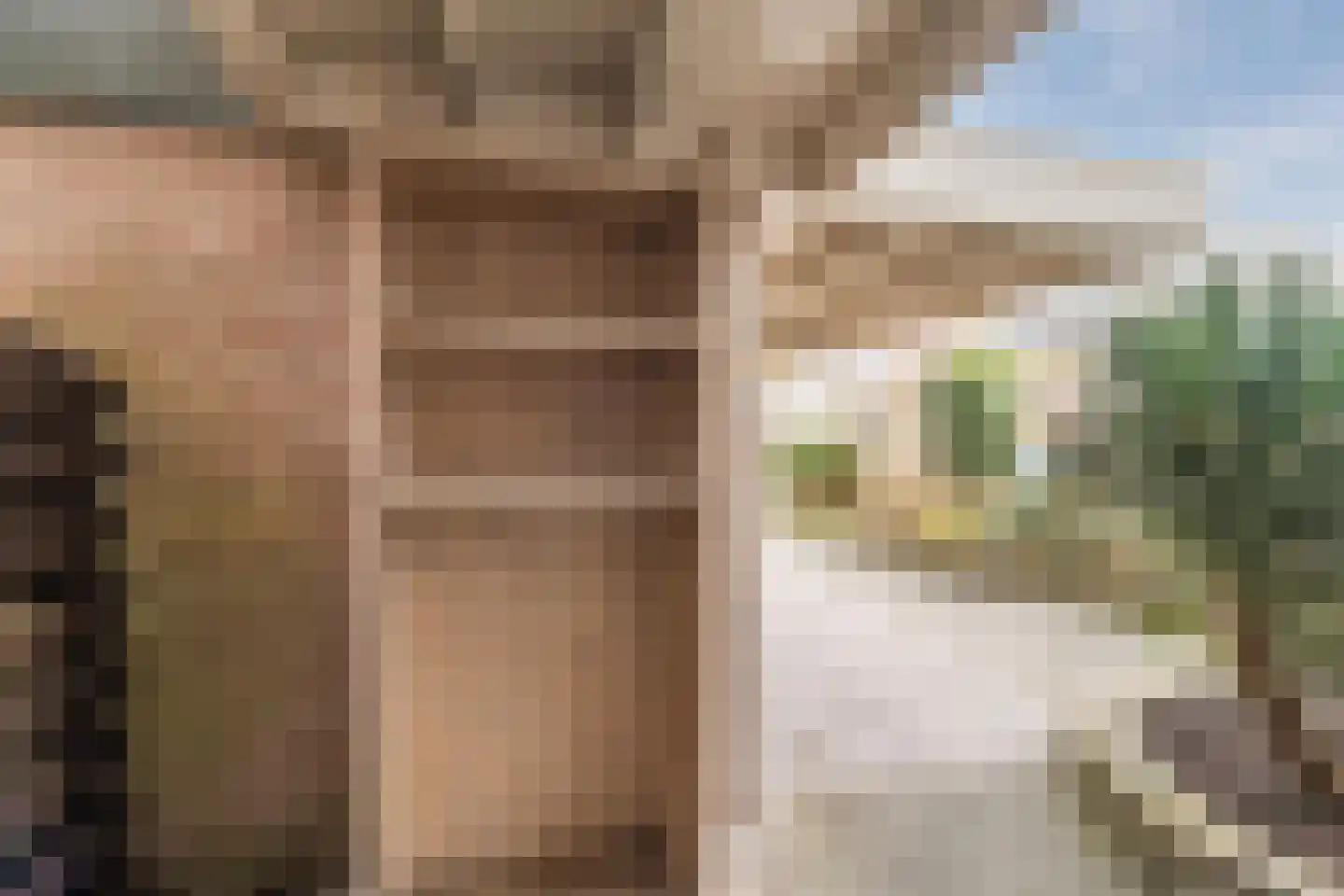 de Wilgen 40 Bergschenhoek thumbnail 45