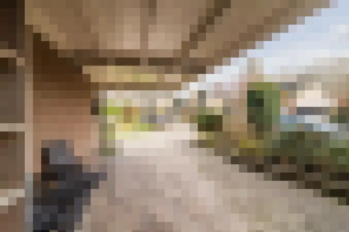 de Wilgen 40 Bergschenhoek thumbnail 46
